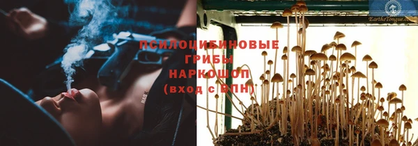 мяу мяу мука Белоозёрский