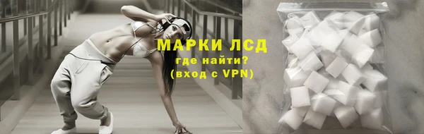 СК Беломорск
