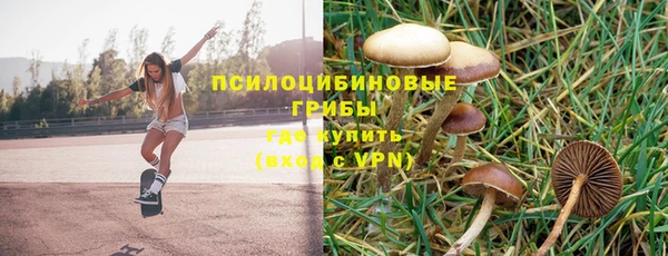 герыч Белокуриха