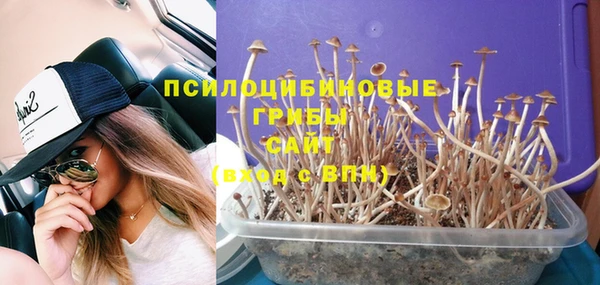 мяу мяу мука Белоозёрский