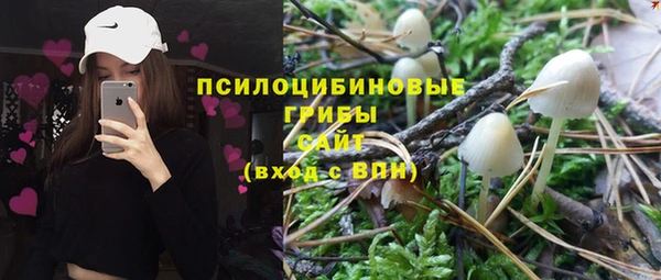 СК Беломорск