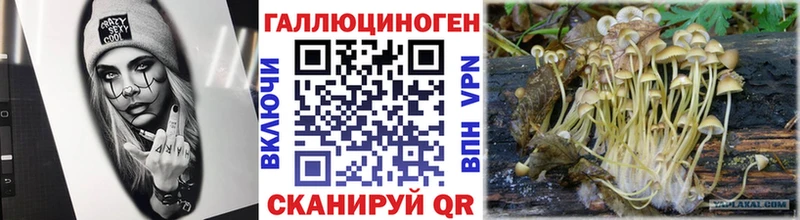 Псилоцибиновые грибы Magic Shrooms Первомайск