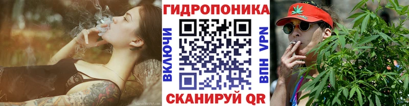 где можно купить Первомайск Каннабис ГИДРОПОН